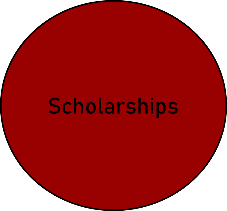 scholarshipsbutton